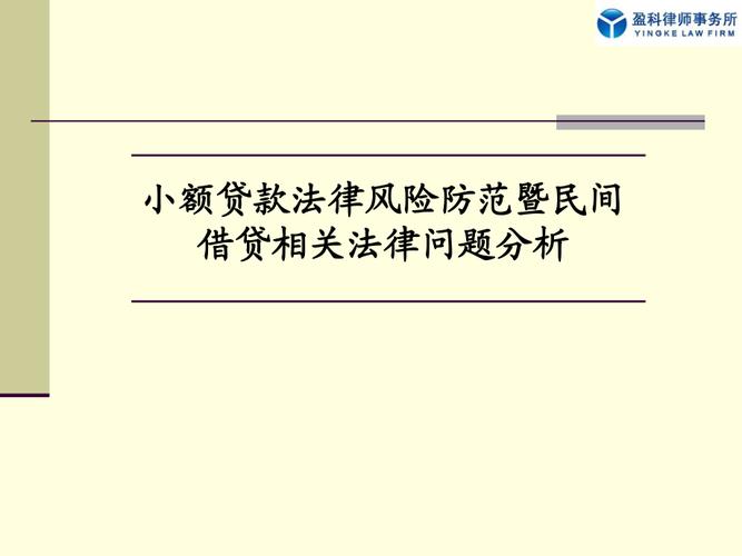 深圳罗湖小额贷款公司的风险控制策略分析(深圳市小额贷款)